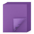 POLIWELL 1000 Grit Sanding Sheets 20 PCS 9 x 11 Inch Purple Alumina - style: 1000Girt