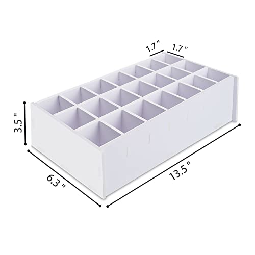 SANFURNEY Paint Storage Tray, 21 Compartment Arts and Crafts Supply Rack