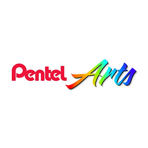 Pentel Arts Aquash Water Brush, Small Brush, Fine Point Tip, 1 Pack (FRHFBP) - style: Fine