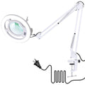KIRKAS Magnifying Glass with Light, 2,200 Lumens Magnifying Lamp 12X - color: White 28in
