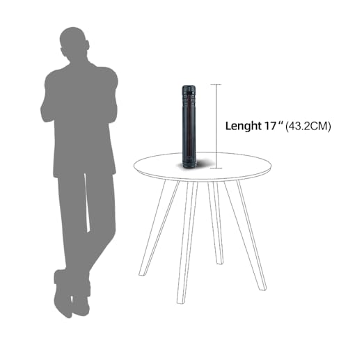 TRANSON 2-Pack Small Poster Tube Storage 17“ to 27” Extendable for Documents Blueprints Artworks Scrolls - color: 2 Pack-Black