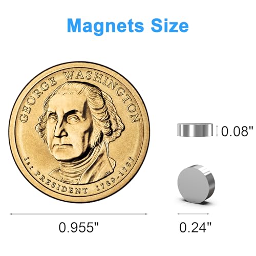 Fridge Magnets, 6x2mm Small Round Magnetic 250 Pack - size: 6x2mm