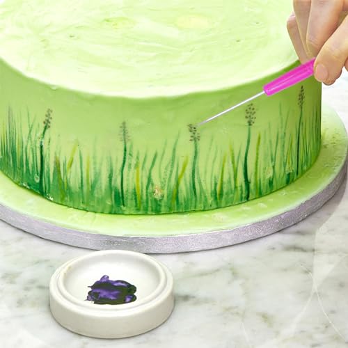 8 Pieces Cookie Scribe Tool Sugar Stir Needle with Clear Box Scriber Needle Cookie Decorating Tools, DIY Baking Pin Whisk Stainless Steel Needle Biscuit Icing Pin - color: D