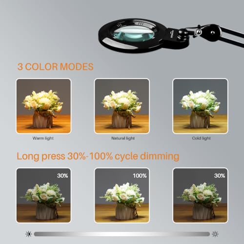Magnifying Lamp with Clamp, 6-Inch Replaceable Lenses, Black - color: Black