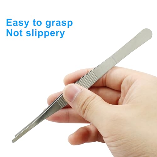 2 Pcs 6 Inch Stainless Steel Forceps, Straight - size: 6 Inch