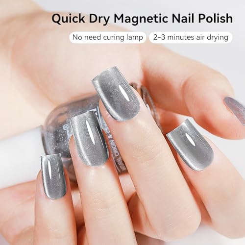 MIZHSE Quick Dry Cat Eye Nail Polish, Silver Magnetic Nail Polish Glossy - color: Cat Eye Silver