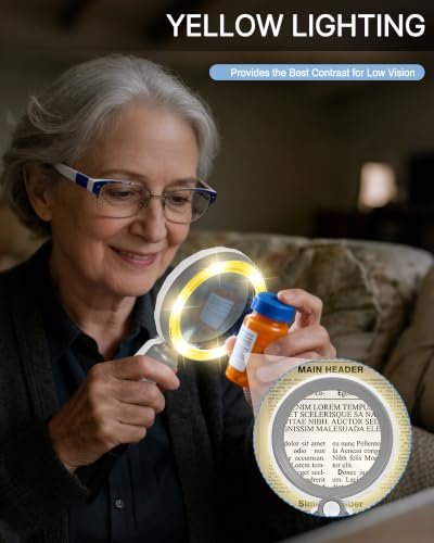 45X Magnifying Glass with Light, 4.6" Rechargeable Handheld Magnifier - color: Gray