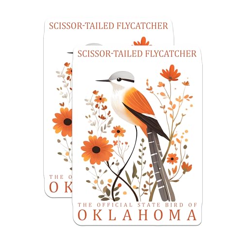 (2 Pack) Scissor Tailed Flycatcher Stickers - Oklahoma State Bird Decals - Bird Lover Gift - 5" On Longest Side - Sticks to Smooth Flat Surfaces - Made in USA - BMCS18286