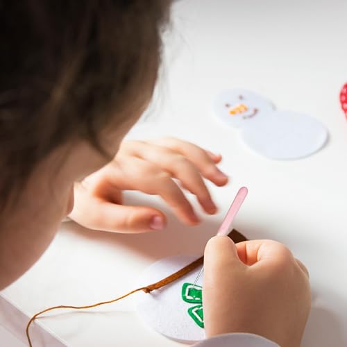 8 Pieces Cookie Scribe Tool Sugar Stir Needle Scriber Needle Cookie Decorating Tools with Clear Box, DIY Baking Pin Whisk Stainless Steel Needle Biscuit Icing Pin - color: C
