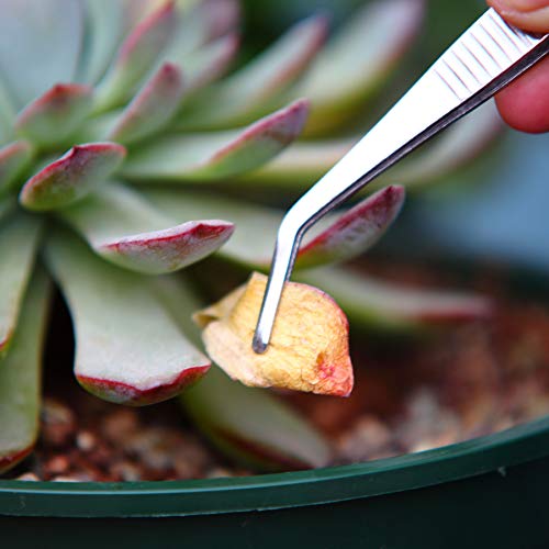 Gardening Tweezers Set, 3-Piece Stainless Steel Picking Tools