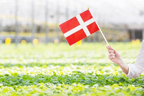 50 Pack Denmark Danish on Stick Flags,Small Mini Hand Held Denmark Danish Flags 5.5x8.3 Inch, Grand Opening, Carnival,Party Events Celebration - color: Denmark