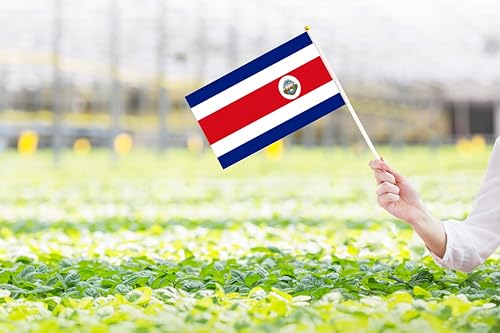 50 Pack Costa Rica Costa Rican on Stick Flags,Small Mini Hand Held Costa Rica Costa Rican Flags 5.5x8.3 Inch, Grand Opening, Carnival,Party Events Celebration - color: Costa Rica