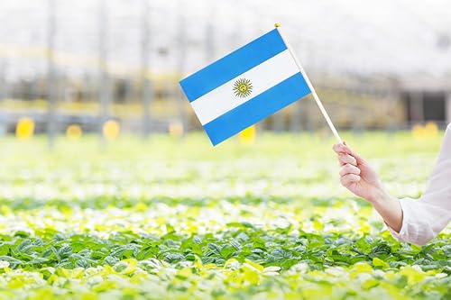 50 Pack Argentina Argentine on Stick Flags,Small Mini Hand Held Argentina Argentine Flags 5.5x8.3 Inch, Grand Opening, Carnival,Party Events Celebration - color: Argentina