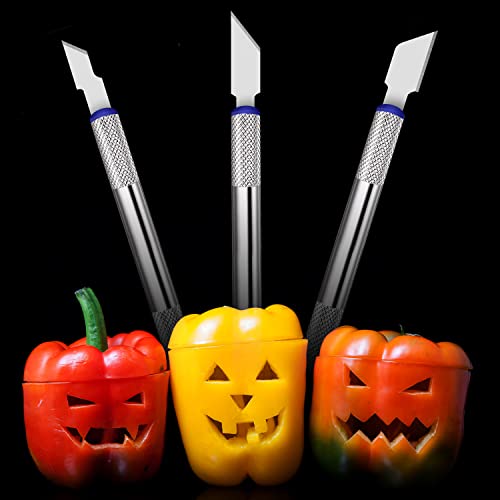 21 Pieces Precision Hobby Craft Knife Set,Razor Sharp Knives for Scrapbooking,Stencil,Art Modeling,Sculpture,Wood Leather,Halloween Pumpkin Carving,Fine Point,Scoring,Chiseling Blade