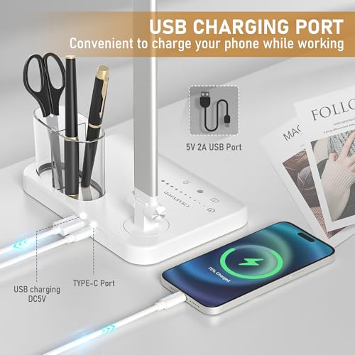 LED Desk Lamp for Home Office Desk Light Table Lamp 50 Lighting Modes Timer - color: Silver