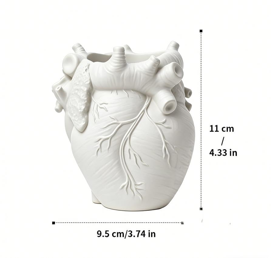 Heart-Shaped Pen Holder, 4.3" x 3.74" Human Heart Organ Shape Pen Holder, Gothic Makeup Brush Holder, 3D Realistic Hearts Anatomy Model for Makeup Brushes Pens,Desk Accessories (White)