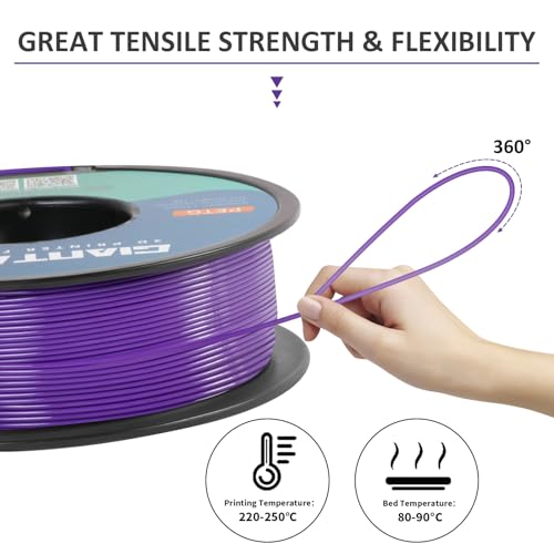 GIANTARM PETG Filament 1.75mm for 3D Printer, 1KG, Purple - color: Purple