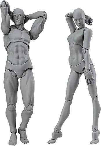 Body Kun Artist Manikin Figure Drawing Supplies Drawing Tools, Mannequin for Artists Drawing Figures Model for Sketching, Painting, Artists Male (Grey) - color: Grey
