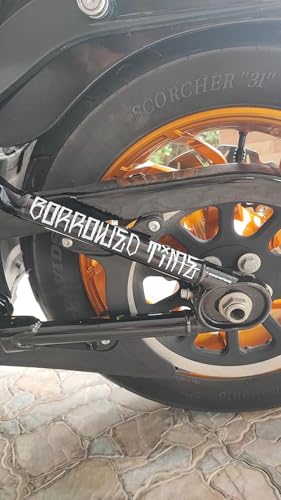 STICKY DUDE | Borrowed Time - Swing Arm Sticker Decal for HD FLSB M8 Dyna Clubstyle Europe USA (Reflective) - style: Reflective