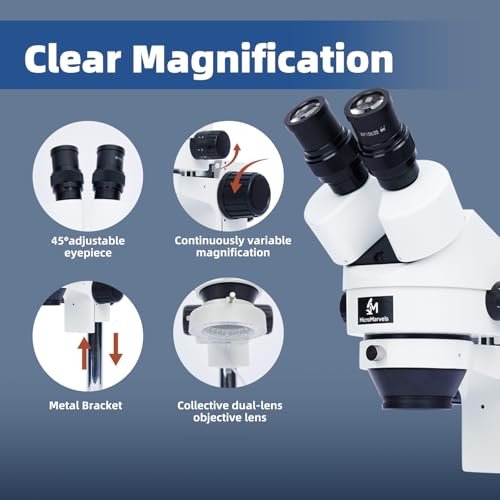 Professional Binocular Stereo Microscope