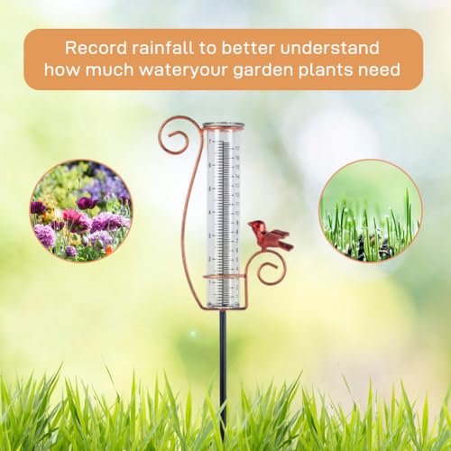 Cardinal Rain Gauge Outdoor with 7 Inch Glass Tube - color: Cardinal