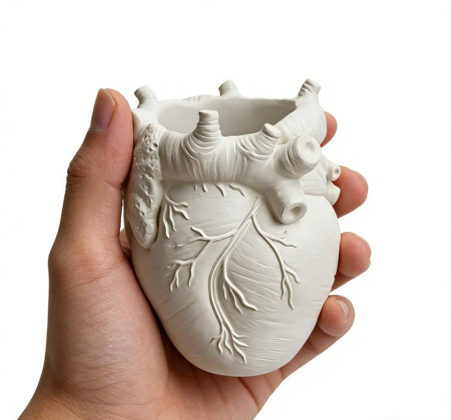 Heart-Shaped Pen Holder, 4.3" x 3.74" Human Heart Organ Shape Pen Holder, Gothic Makeup Brush Holder, 3D Realistic Hearts Anatomy Model for Makeup Brushes Pens,Desk Accessories (White)