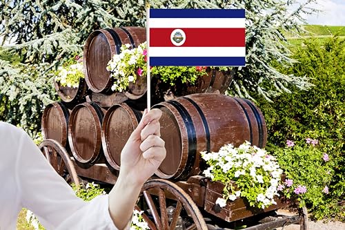 50 Pack Costa Rica Costa Rican on Stick Flags,Small Mini Hand Held Costa Rica Costa Rican Flags 5.5x8.3 Inch, Grand Opening, Carnival,Party Events Celebration - color: Costa Rica