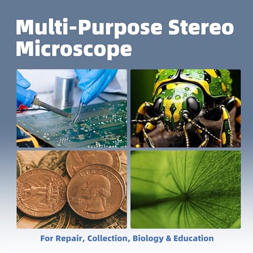 Professional Binocular Stereo Microscope