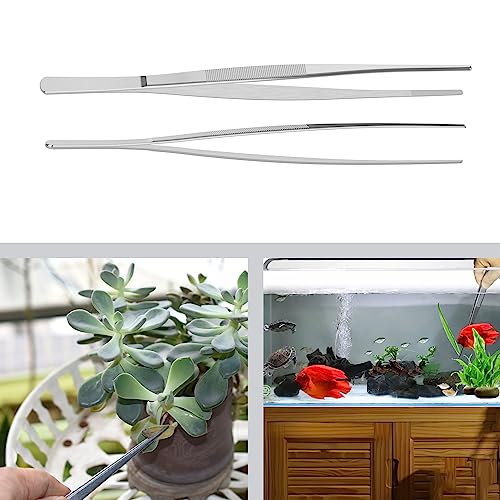 5 PCS 10" Stainless Steel Tweezers, Straight Blunt, 3/64" Thick - size: 10"L(3/64"T)