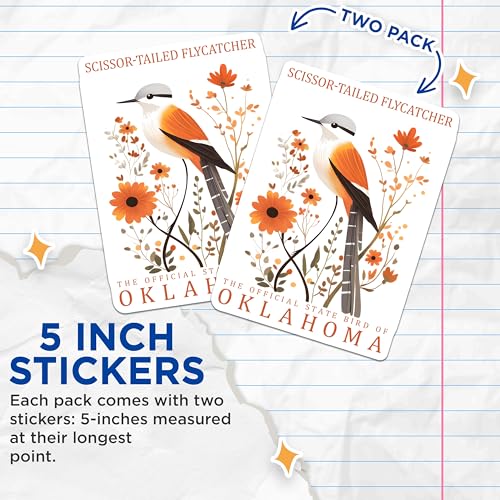 (2 Pack) Scissor Tailed Flycatcher Stickers - Oklahoma State Bird Decals - Bird Lover Gift - 5" On Longest Side - Sticks to Smooth Flat Surfaces - Made in USA - BMCS18286