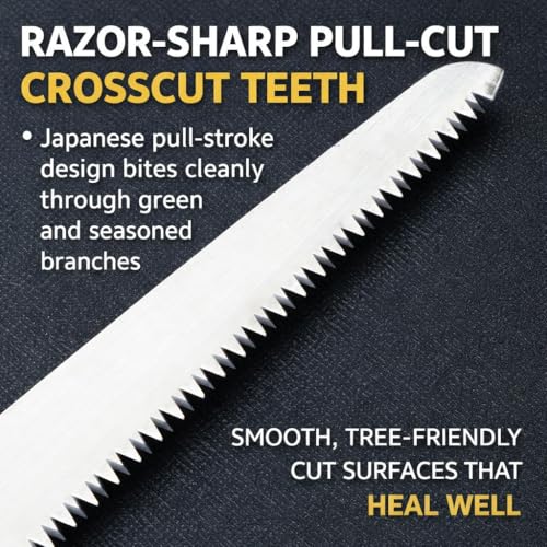 Authentic Japanese Mini Pruning Saw — Pull-Cut Crosscut Blade with Sheath; For Fruit Trees & Shrubs; Hishika, Made in JAPAN (6 in (150 mm)) - size: 6 in (150 mm)