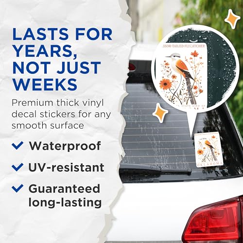 (2 Pack) Scissor Tailed Flycatcher Stickers - Oklahoma State Bird Decals - Bird Lover Gift - 5" On Longest Side - Sticks to Smooth Flat Surfaces - Made in USA - BMCS18286