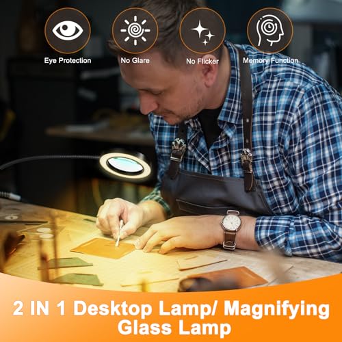10X Magnifying Glass with Light, 2 in 1 Magnifying Desk Lamp Timer - color: Black-95mm