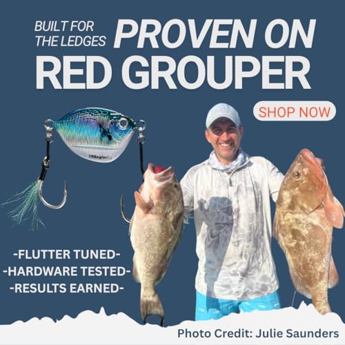 Imposter Jig, Bonita Pattern, Slow Pitch Fishing Lure, Inshore and Offshore - size: 100 Gram