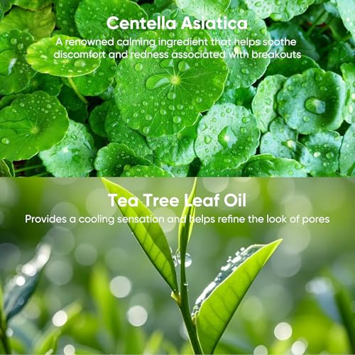 Acne Face Mask Skincare, Sheet Masks for Acne Prone, 10 Pack - color: Salicylic Acid Mask