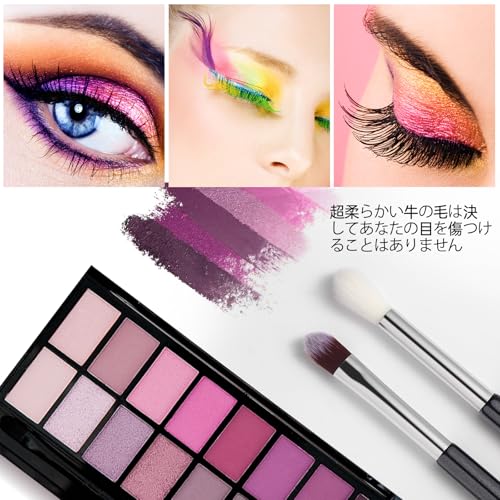 Eye Makeup Brush Set, 6 Pcs Professional Blending Eyeshadow Makeup Brushes for Concealer Eyebrows Eyeliner, Soft Hairs & Wood Handle (black and silver)… - color: black and silver