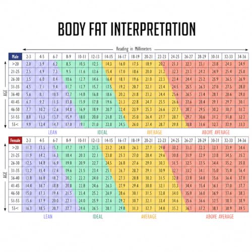 Digital Body Fat Caliper with LCD Display, Skinfold Tester and Tape Measure
