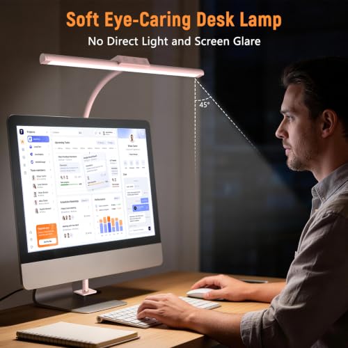 LED Desk Lamp for Home Office, Flexible Gooseneck Desk Lamp with Clamp - color: Pink