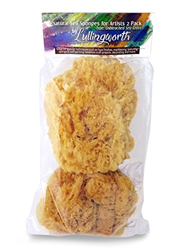 Unbleached Natural Sea Sponges for Artists 2pk, 5"-5.5", Painting & Crafts