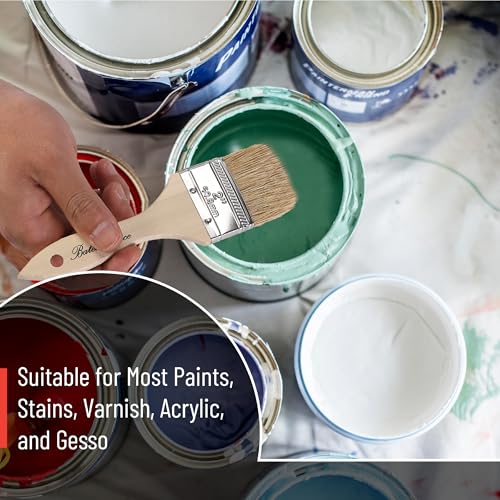 Bates- Chip Paint Brushes, 2 Inch, 12 Pack, Chip Brush, Natural Bristle Paint Brush for Wood, Paint - size: 2 Inch, 12 Pack