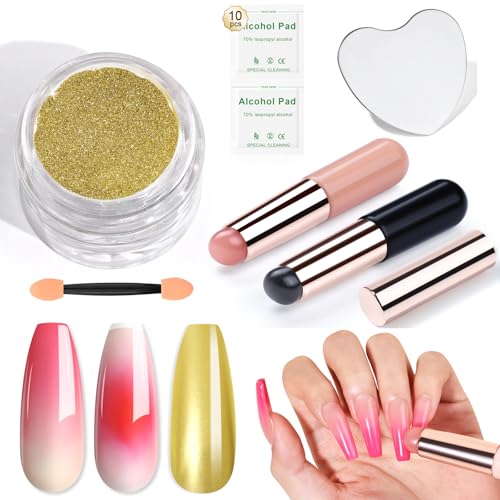 Saviland Chrome Nail Powder Set: 2PCS Reusable Chrome Nail Powder Applicator Nail Brush with 1g Metallic Mirror Effect Chrome Powder for Gel Nails