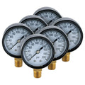H2O PRO 6 Pack 200 PSI Steel Pressure Gauge with 1/4 Inch Male NPT Connection, Measures Well Water Pressure, Model 024789…