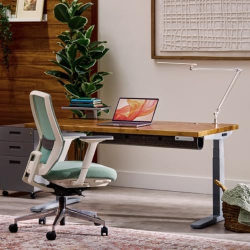 UPLIFTDESK E7 LED Desk Lamp with Clamp - 3 Color Mode Architect Desk Lamp - color: Silver Clamp Only