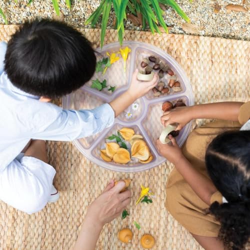 Kaplan Early Learning Company Loose Parts Sorting Trays - Set of 4 - Clear