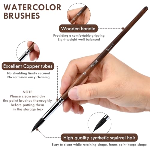 Brusarth Watercolor Brushes, Synthetic Squirrel Hair Paint Brush Set - size: 10 Size