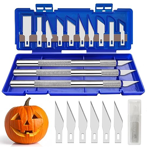 21 Pieces Precision Hobby Craft Knife Set,Razor Sharp Knives for Scrapbooking,Stencil,Art Modeling,Sculpture,Wood Leather,Halloween Pumpkin Carving,Fine Point,Scoring,Chiseling Blade