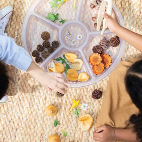 Kaplan Early Learning Company Loose Parts Sorting Trays - Set of 4 - Clear