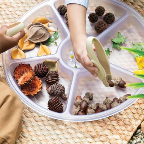 Kaplan Early Learning Company Loose Parts Sorting Trays - Set of 4 - Clear