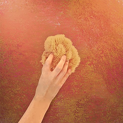 Unbleached Natural Sea Sponges for Artists 2pk, 5"-5.5", Painting & Crafts