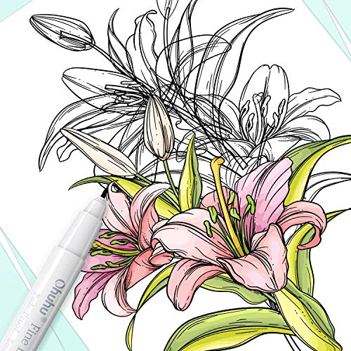 Ohuhu Fineliner Micro Drawing Pens: 8-size Tips (Ultra-fine, Fine & Brush)